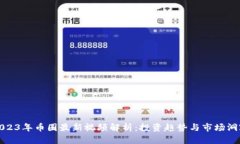2023年币圈最新视频解析：