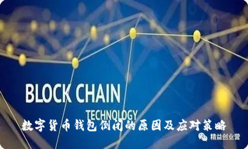 数字货币钱包倒闭的原因及应对策略