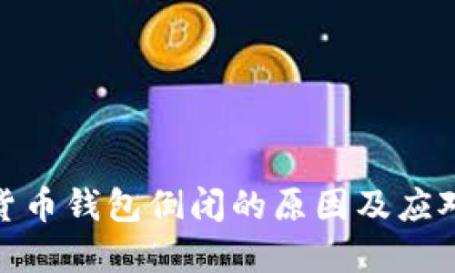 数字货币钱包倒闭的原因及应对策略