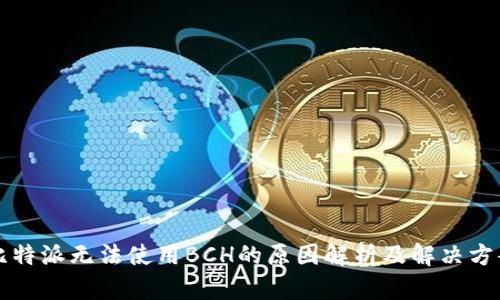 比特派无法使用BCH的原因解析及解决方案