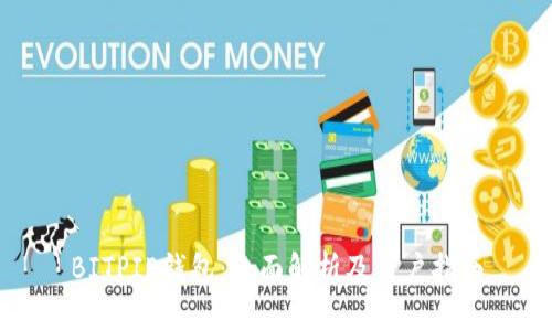 BITPIE钱包：全面解析及用户指南