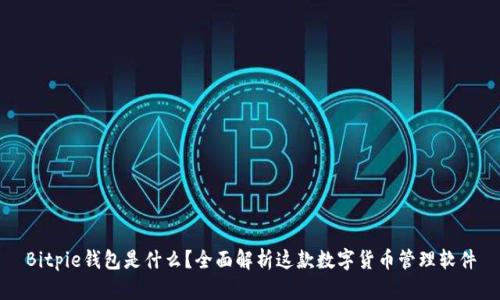 Bitpie钱包是什么？全面解析这款数字货币管理软件