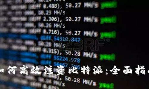 如何高效注资比特派：全面指南