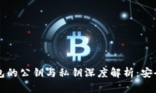 区块链加密钱包的公钥与私钥深度解析：安全性与使用技巧