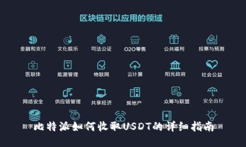 比特派如何收取USDT的详细指南