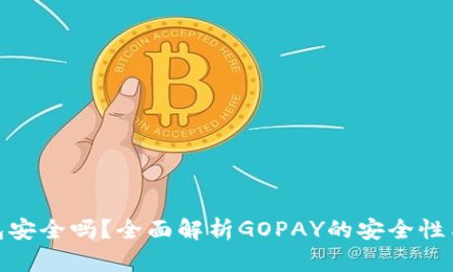 GOPAY钱包安全吗？全面解析GOPAY的安全性与使用指南