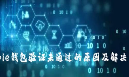 Bitpie钱包验证未通过的原因及解决方案