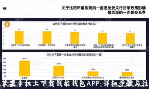 
如何在苹果手机上下载钱能钱包APP：详细步骤与注意事项