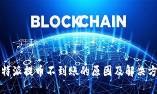 比特派提币不到账的原因及解决方案