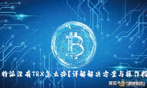 比特派没有TRX怎么办？详解解决方案与操作指南