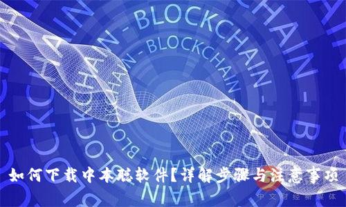 如何下载中本聪软件？详解步骤与注意事项