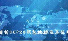 深入解析BEP20钱包地址及其