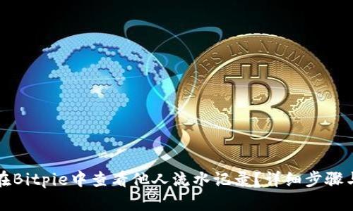 如何在Bitpie中查看他人流水记录？详细步骤与技巧
