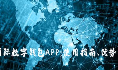 全面解析国际数字钱包APP：使用指南、优势与未来发展