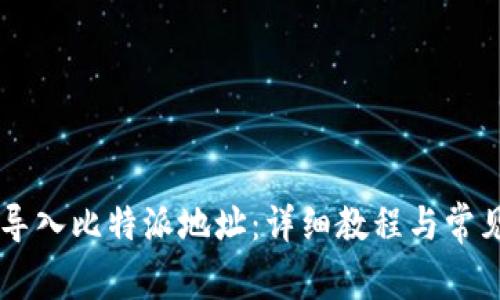 如何将IM导入比特派地址：详细教程与常见问题解答