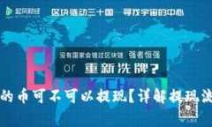 比特派钱包里的币可不可以提现？详解提现流程