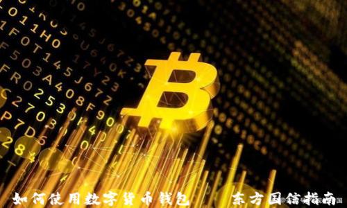 
如何使用数字货币钱包——东方国信指南