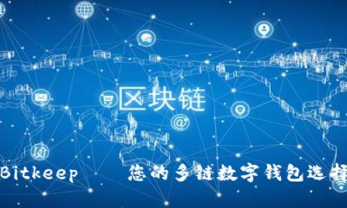 Bitkeep——您的多链数字钱包选择