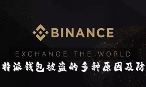 揭秘！B特派钱包被盗的多种原因及防范措施