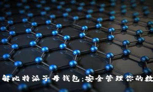 深入了解比特派子母钱包:安全管理你的数字资产